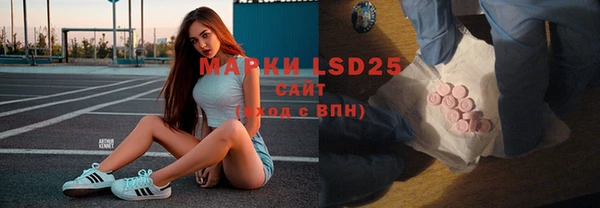 apvp Алексин