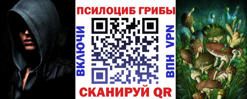 Псилоцибиновые грибы мицелий  Покачи 